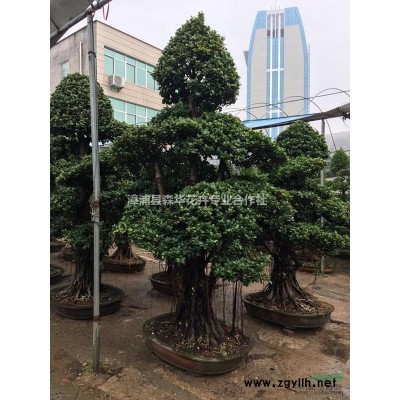 特價大型家庭假山流水噴泉室內門店酒店招財風水輪庭院花園魚池