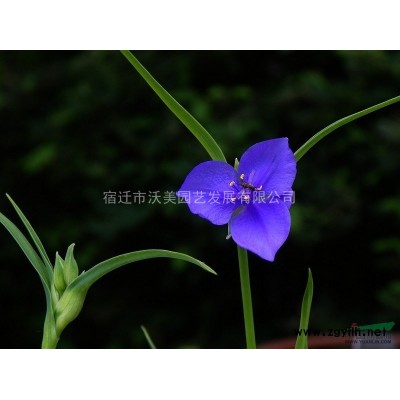 輪胎工藝品廢舊輪胎創意裝飾輪胎藝術品公園雕塑造型輪胎雕塑