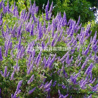 輪胎工藝品廢舊輪胎創意裝飾輪胎 公園雕塑造型輪胎雕塑