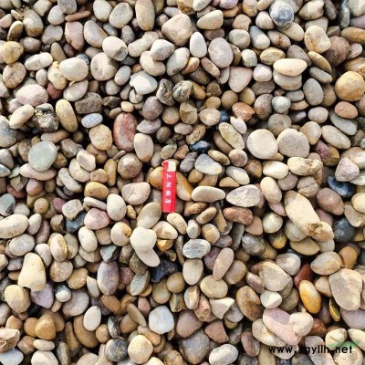 天然太湖石 窟窿石園林假山石駁岸石自然石