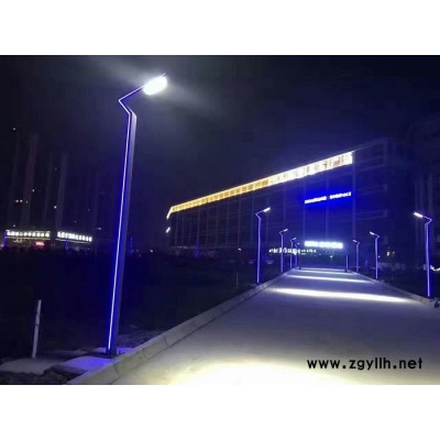 戶外防水景觀園林草坪燈鋁制led景觀高桿燈 公園燈室外現(xiàn)代庭院燈