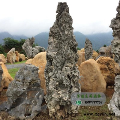 良好園林大型假山石直銷園林假山石造景