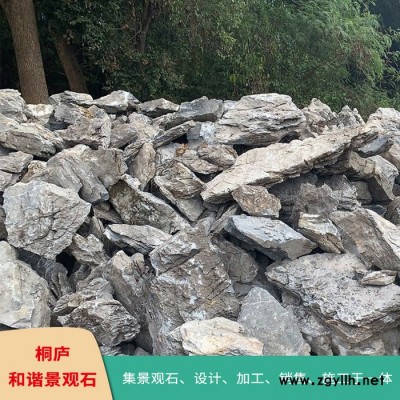 杭州天然景觀石風(fēng)景園林英石假山石原石奇石