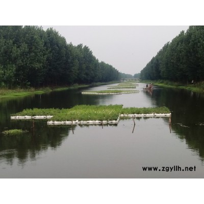 生態水景綠化 生態人工浮島 浮床 生態浮床 水生植物 人工浮島 凈化水質紅發水景