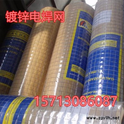 廠家現(xiàn)貨供應(yīng)甘肅假山用網(wǎng) 鍍鋅網(wǎng) 假山用軟鍍鋅網(wǎng) 電焊網(wǎng)