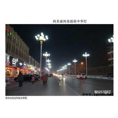 海力西  直銷 中華燈 道路燈 標(biāo)志景觀燈 廣場(chǎng)公園燈 戶外照明  庭院燈