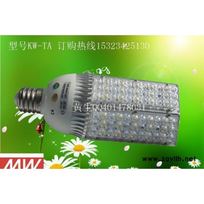 外殼配件及成品 30W 36W道路燈 景觀照明