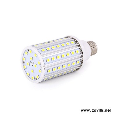 中華燈 庭院燈 景觀燈 路燈專用LED光源（LED玉米燈） 節(jié)能燈 20WLED玉米燈