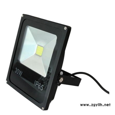 LED投光燈 投射燈戶外50W100W防水廠房路燈廣告燈具天棚燈庭院燈