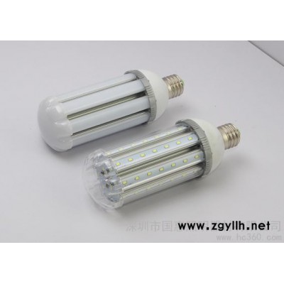 LED太陽能庭院燈 12VLED玉米燈