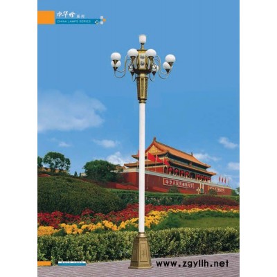 供應路燈 LED路燈 LED路燈廠家 中華燈 路燈廠家 路燈桿 道路燈