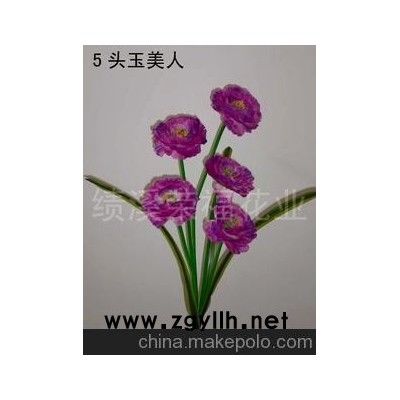 供應5頭虞美人(圖)