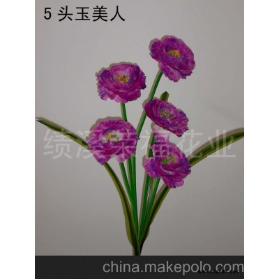 5頭虞美人(圖)