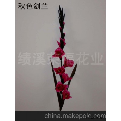 秋色劍蘭(圖)