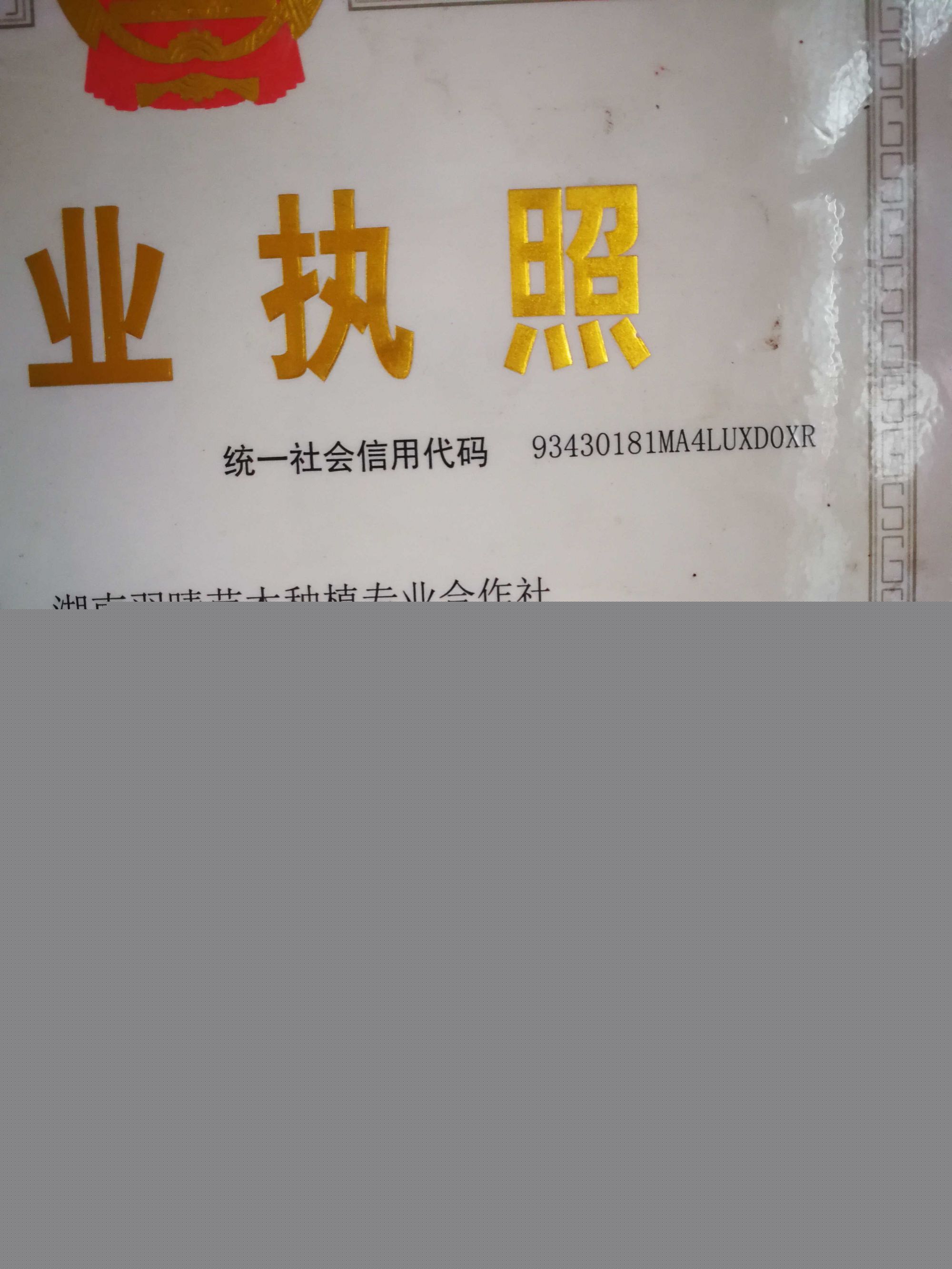 微信圖片_20210311124334