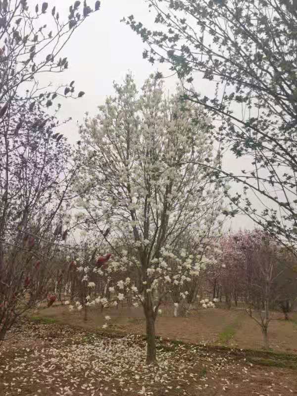 微信圖片_202104211048521
