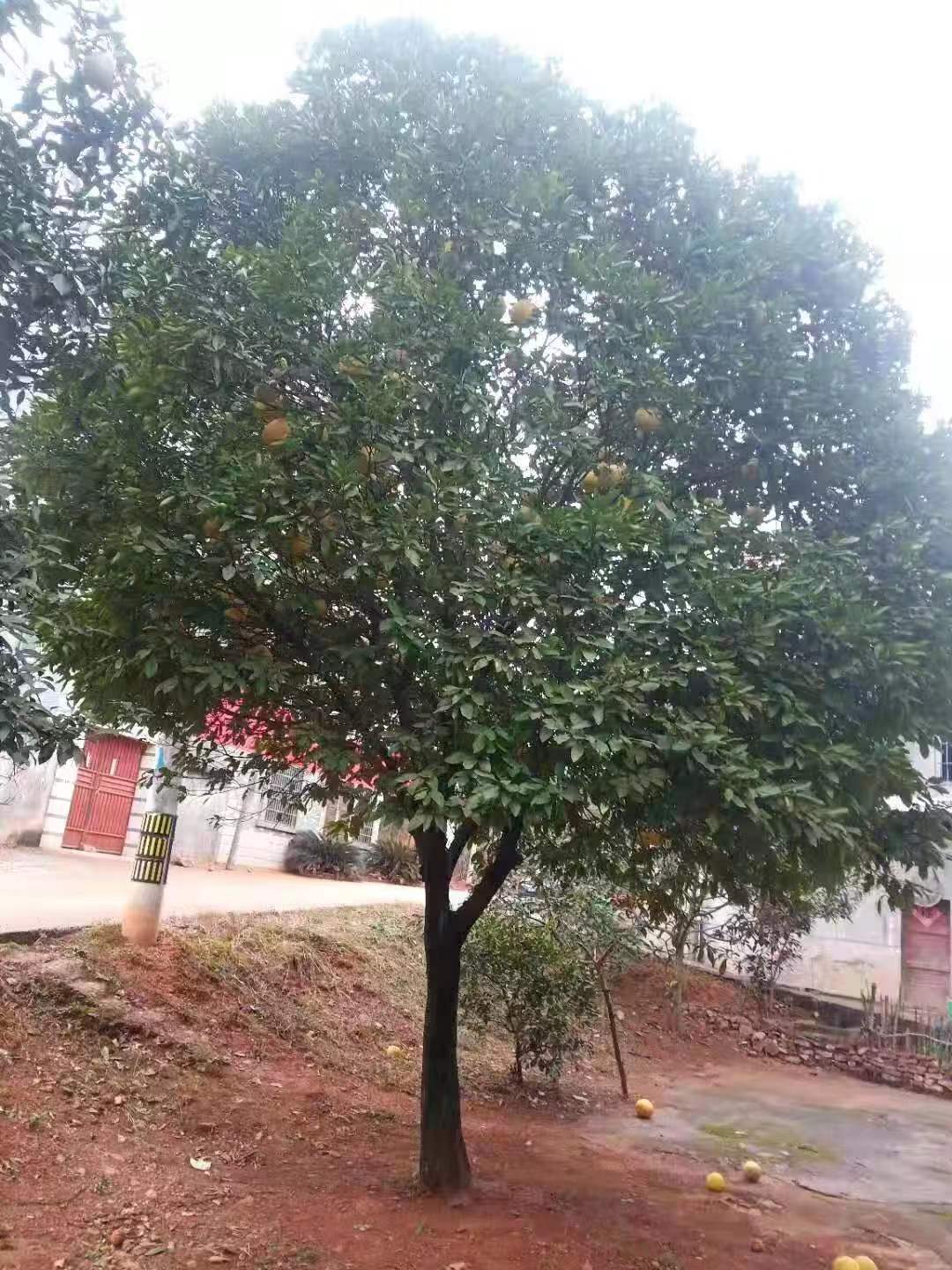 微信圖片_20210517140129