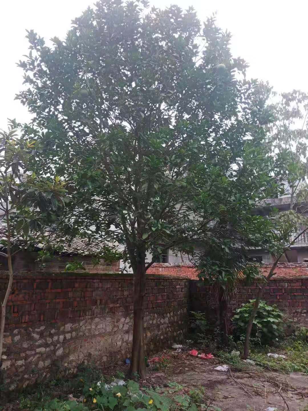 微信圖片_202105171401291