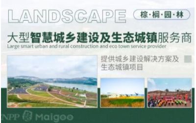 棕櫚生態(tài)城鎮(zhèn)發(fā)展股份有限公司