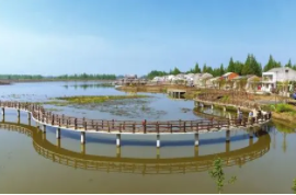 西和縣2021年33個(gè)鄉(xiāng)村振興示范村建設(shè)項(xiàng)目—十里鎮(zhèn)姚河村基礎(chǔ)設(shè)施項(xiàng)目施工招標(biāo)公告
