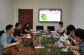 國內首個木蘭科葉型變異新品種通過專家實審
