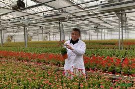 回顧上海花卉波瀾壯闊的光輝歷程 展望中國花卉產業未來的光明前景