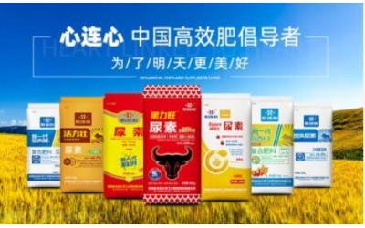 心連心化肥