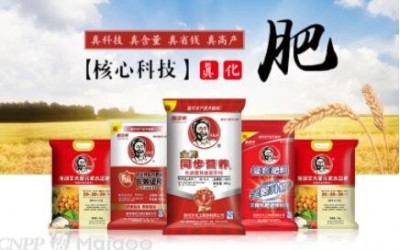 施可豐SKF