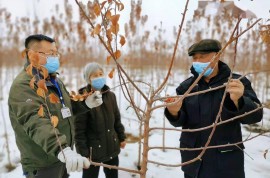 【訪惠聚】“技術(shù)流”秀一波