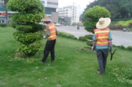 沂南西山小區(qū)棚改項(xiàng)目幼兒園綠化配套工程競(jìng)爭(zhēng)性磋商公告