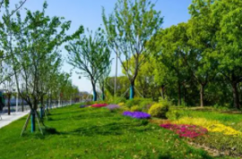 UPARK總部基地景觀綠化方案及施工圖設(shè)計(jì)資格預(yù)審公告