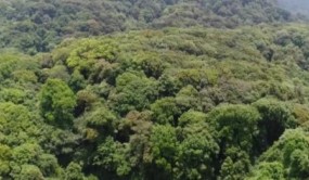高黎貢山保護區保山管護局與西雙版納植物園簽訂合作協議