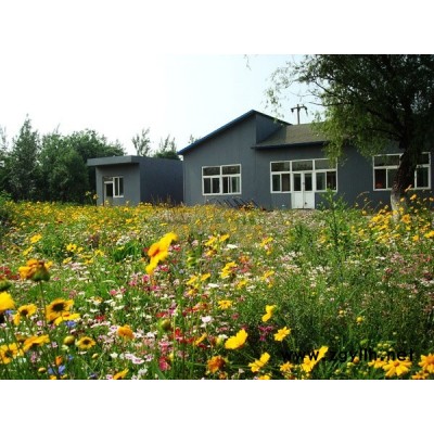 廣東廣州公園綠化美化花種組合批發(fā)