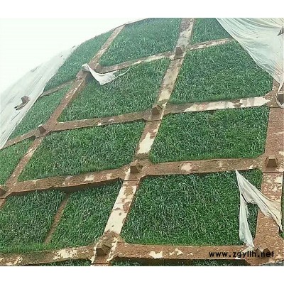 浙江金華低價出售穩(wěn)固鐵絲網(wǎng)