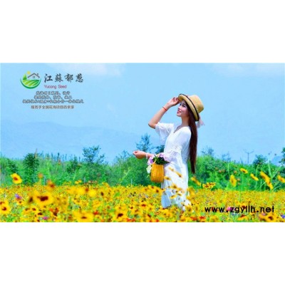 棕櫚種子種植技術方法...高發芽率