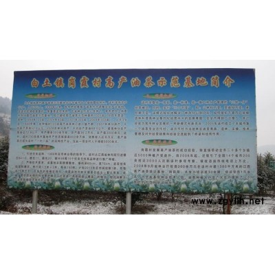 萍鄉(xiāng)油茶樹苗-白土鎮(zhèn)高產(chǎn)油茶苗圃1-大果高產(chǎn)油茶樹苗
