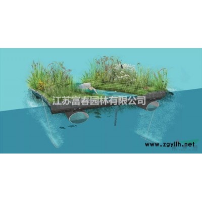 基地出售喬木中華凌霄樹 高桿美國凌霄花園林綠化風景行道樹