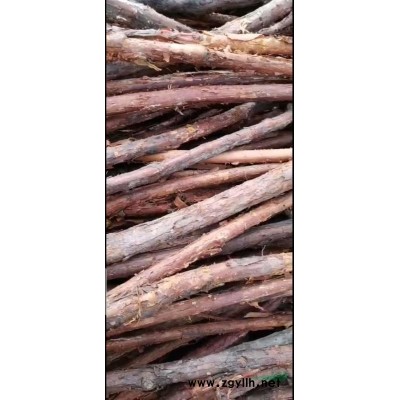 提供大量各型號(hào)精品紅刺根。