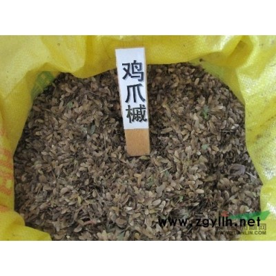 雞爪戚小苗