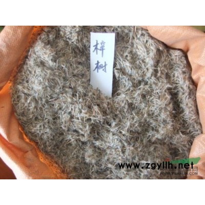 箬竹羅漢竹慈孝竹菲黃竹