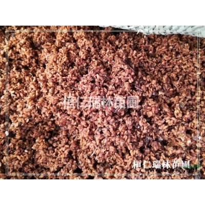 遼寧椴樹苗，紫椴樹苗價格