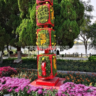 紅背桂 杯苗 市政園林綠化苗 質量優 根系好 易成活
