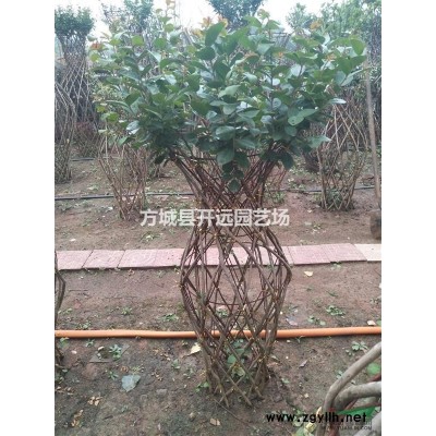 桂花花瓶骨架供應 免費指導編制 南陽桂花花瓶 四川桂花花瓶