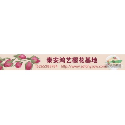 山東碧桃*新報價，山東碧桃批發(fā)銷售