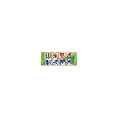 辛集40公分國槐價格