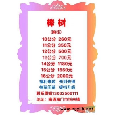 江蘇[產(chǎn)品]/江蘇10-20公分香樟 江蘇香樟處理價(jià)格價(jià)格/報(bào)價(jià)