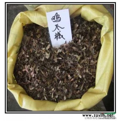 杜英樹移植苗 杜英容器苗 承接市政園林綠化工程訂單 造型杜英