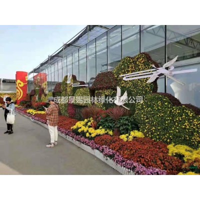 紅楓基地，日本紅楓，紅楓批發出售