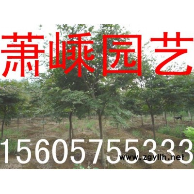 紅楓
