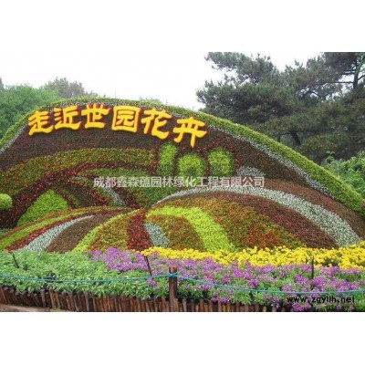 紅葉石楠批發基地 高度30公分紅葉石楠價格